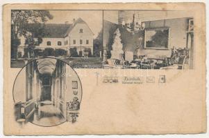 Bánlak, Banloc; Gróf Karátsonyi kastély, belsők / castle, interiors (fl)