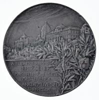Strobl Alajos (1856-1926) 1905. "Hauszmann Alajos - műépítész, tanár" ezüstözött bronz eml...