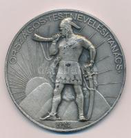 Berán Lajos (1882-1943) 1930 k. "Országos Testnevelési Tanács" ezüstözött bronz emlékérem (60mm) T:AU,XF HP 1282.