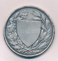 Berán Lajos (1882-1943) 1930 k. "Országos Testnevelési Tanács" ezüstözött bronz emlékérem ...