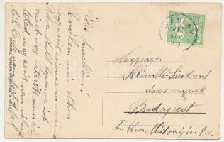 1912 Bánlak, Banloc; Gróf Karátsonyi kastély park, Andrássy út. Kugel K. fényképész felvétele / cast...