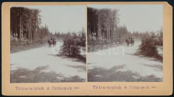 1905 "Tátraszéplak - Sétányok" , sztereofotó, 10x18 cm