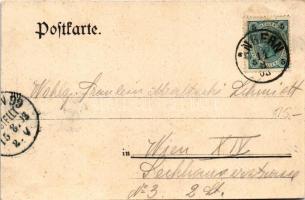 1903 Magyarfalu, Magyarfalva, Ungeraiden, Ungereigen, Uhorská Ves, Záhorská Ves; Max Löw. Beer'...