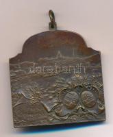 Vastagh György Ifj. (1868-1946) 1909. "XVI. Nemzetközi Orvos Kongresszus - Budapest" kétol...