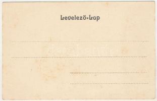 Kolozsvár, Cluj; Megyeháza. Rigó Árpád kiadása, szecessziós-virágos litho keret / county hall. Art N...