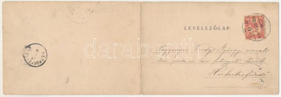 1901 Temesvár, Timisoara; Hunyady út, Lux Nándor üzlete. Polatsek-féle könyvkereskedés kiadása, 2-ré...