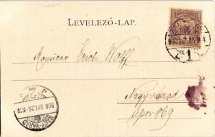 1900 Temesvár, Timisoara; Scudier szobor. Edgar Schmidt kiadása / Scudier-Denkmal / monument (fl)