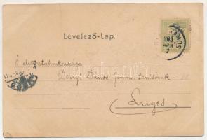 1903 Gyertyámos, Gyergyámos, Gertianosch, Gertiamos, Carpinis (Banat); Községháza. Rechnitzer János ...