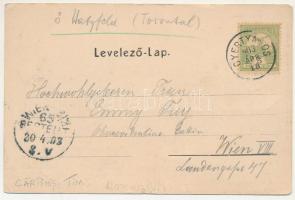 1903 Gyertyámos, Gyergyámos, Gertianosch, Gertiamos, Carpinis (Banat); Tenner Ignác üzlete. Rechnitz...