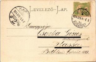 1904 Zsombolya, Hatzfeld, Jimbolia; Muschong palota, M. kir. posta, üzletek. Perlstein F. kiadása / ...