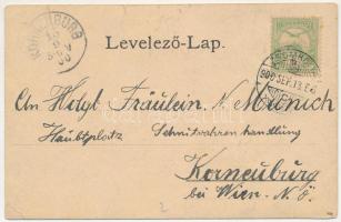 1900 Zsombolya, Hatzfeld, Jimbolia; Gróf Csekonics kastély, Római katolikus templom, Flórián szobor,...