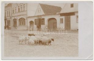Beszterce, Bistritz, Bistrita; utca részlet, üzletek, juhnyáj / street view, shops, flock of sheep. photo (EK)