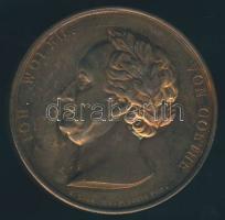 Németország 1975. "Goethe" emlékérem eredeti tokban és tanúsítvánnyal! T:2 37g