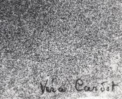 Véra Cardot, Steiner Vera (1920-2003): Les oiseaux. Vegyes technika, papír, jelzett. 56,5x38,5 cm