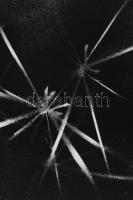 Véra Cardot, Steiner Vera (1920-2003): Les oiseaux. Vegyes technika, papír, jelzett. 56,5x38,5 cm