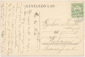 1911 Szászsebes, Mühlbach, Sebesul Sasesc, Sebes; park. J. Hientz kiadása / park (EK)