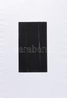 Károlyi Zsuzsanna (1954-): Párhuzamosok (cím nélkül). Rézkarc, papír, jelzett. 25,5x14,5 cm