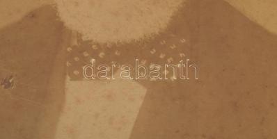 cca 1880-1890 Kossuth Lajos (1802-1894) időskori portréja, nagyméretű fotó Giuseppe Ambrosetti olasz...