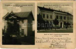 1914 Árpatarló, Ruma; Pozdrav sa II. zemaljske pcelarske izlozba u Rumi 1909 / Gruß von der II. Landes-Bienenausstellung in Ruma 1909 / Üdvözlet a II. Országos Méhészeti Kiállításról / Greetings from the 2nd National Beekeeping Exhibition (fl)