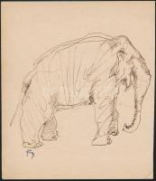 Szőnyi Jenő (1902-?): Elefánt. Tus, papír, jelzett. 17x15 cm.