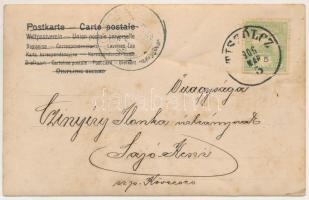 1906 Tiszolc, Tisovec; Irén liget, teniszpálya teniszezőkkel / tennis court with players. photo (fa)