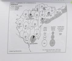 Németh László - Paksy Zoltán: Együttélés és kirekesztés. Zsidók Zala megye társadalmában 1919-1945. ...