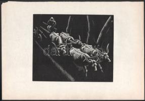 Patay Mihály (1910-1956): Ökrösszekér, 1930-as évek. Fametszet, papír, jelzett a metszeten, lap bal felső sarkában apró sérüléssel, 14,5x17,5 cm