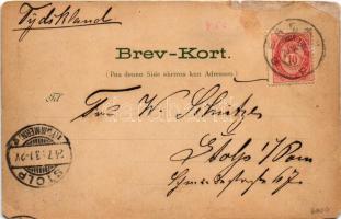 1893 Bergen, Fantoff. F. Beyer / view, folklore, church. Art Nouveau, floral, litho (b)