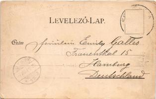 1901 Fenyőháza, Lubochna; látkép, vasútállomás, nyaraló. Szecessziós-virágos keret / general view, r...