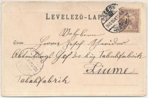 1900 Pozsony, Pressburg, Bratislava; Sétatér és várszínház. Szecessziós fémes fóliás hatású képeslap...