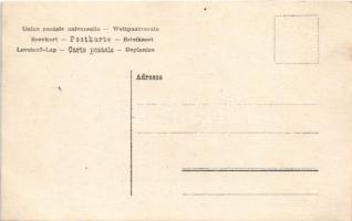 Árvaváralja, Oravsky Podzámok (Tátra, Tatry); Árva vára / castle. photo