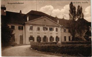 1916 Szepesmindszent, Szepes-Mindszent, Biacovce, Bijacovce; Gróf Csáky kastély / castle (EK)