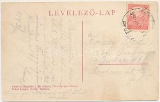 1917 Pribóc, Príbovce; Ferenc gőzfűrész, Langer vendéglő. Langer József saját kiadása, Hegedüs J. fé...