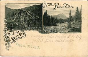 1905 Tátra, Magas-Tátra, Vysoké Tatry; Schleierfall, Mlinica-Thal / Fátyolvízesés, Malom-pataki-völgy. A. v. Palocsay kiadása, szecessziós-virágos keret / waterfall, valley. Art Nouveau, floral frame (EK)