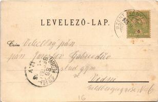 1905 Tátra, Magas-Tátra, Vysoké Tatry; Schleierfall, Mlinica-Thal / Fátyolvízesés, Malom-pataki-völg...