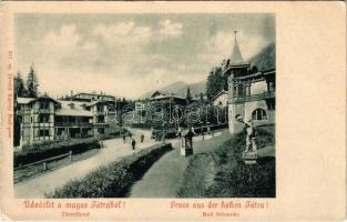 Ótátrafüred, Tátrafüred, Altschmecks, Stary Smokovec (Magas-Tátra, Vysoké Tatry); Maurer Adolf üzlete. Divald Károly 317. sz. / shop (EK)