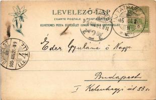 1905 Tátralomnic, Tatranská Lomnica (Magas-Tátra, Vysoké Tatry); Gyógyház. Feitzinger Ede 79bt. Auto...