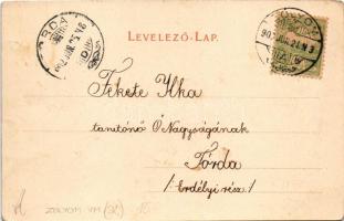 1902 Zólyom, Zvolen; Bádoggyár. Özv. Löwy Samuné kiadása / tin factory (EK)