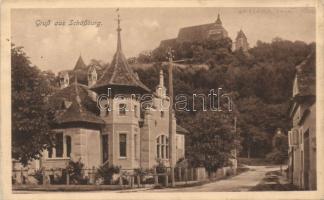 Segesvár with the castle (wet damage)