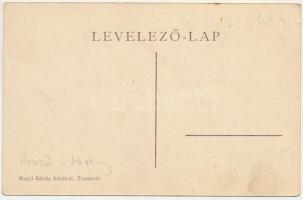 Delényes, Delinyest, Delinesti; Uradalmi kastély, téli oldal. Kugel Károly felvétele / castle (EK)