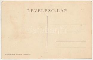 Delényes, Delinyest, Delinesti; Uradalmi gazdasági udvar. Kugel Károly felvétele / castle (EK)