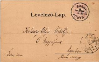 1899 Aranyosmarót, Zlaté Moravce; Megyeháza és Törvényszéki palota, Nagyszálloda. Szecessziós-virágo...