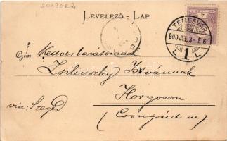 1900 Temesvár, Timisoara; Losonczy tér, piac, üzletek. Uhrmann Henrik kiadása / sqaure, market, shop...