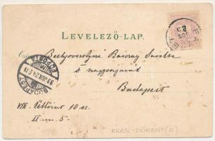 1899 Facset, Facsád, Faget; templom, Fő tér és utca, Korona hotel / church, main square and street, ...