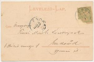 1904 Facset, Facsád, Faget; Lugosi út, Magyar Király szálloda. Weisz Károly és Társa kiadása / stree...