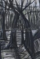 Dési Huber jelzéssel: Táj. Pasztell, papír. Üvegezett fakeretben. 49,5x37 cm