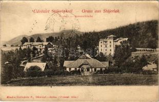 1906 Stájerlak, Steierlak, Stájerlakanina, Steierdorf, Anina; Nyaraló. Hollschütz F. kiadása / Sommerfrische / villa (Rb)