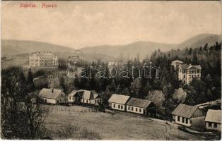 Stájerlak, Steierlak, Stájerlakanina, Steierdorf, Anina; Nyaraló. Scheitzner kiadása / Sommerfrische / villas (EK)