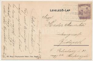 1918 Hegyközkovácsi, Cauaceu; Református iskola és lelkészlak, Községháza / Calvinist school and par...