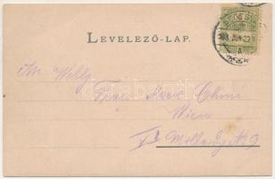 1903 Segesvár, Schässburg, Sighisoara; Piactér, Girscht üzlete. Fritz Teutsch kiadása / market squar...